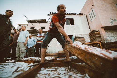 Free Vibrant street scene of fishermen in Ras El-Bar, Egypt. Stock Photo