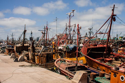 Ships Moored in Harbor