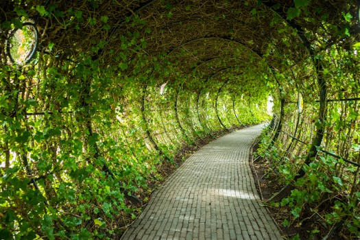 Serene green tunnel passage in an English garden, enveloped with lush foliage. Perfect for a tranquil retreat.