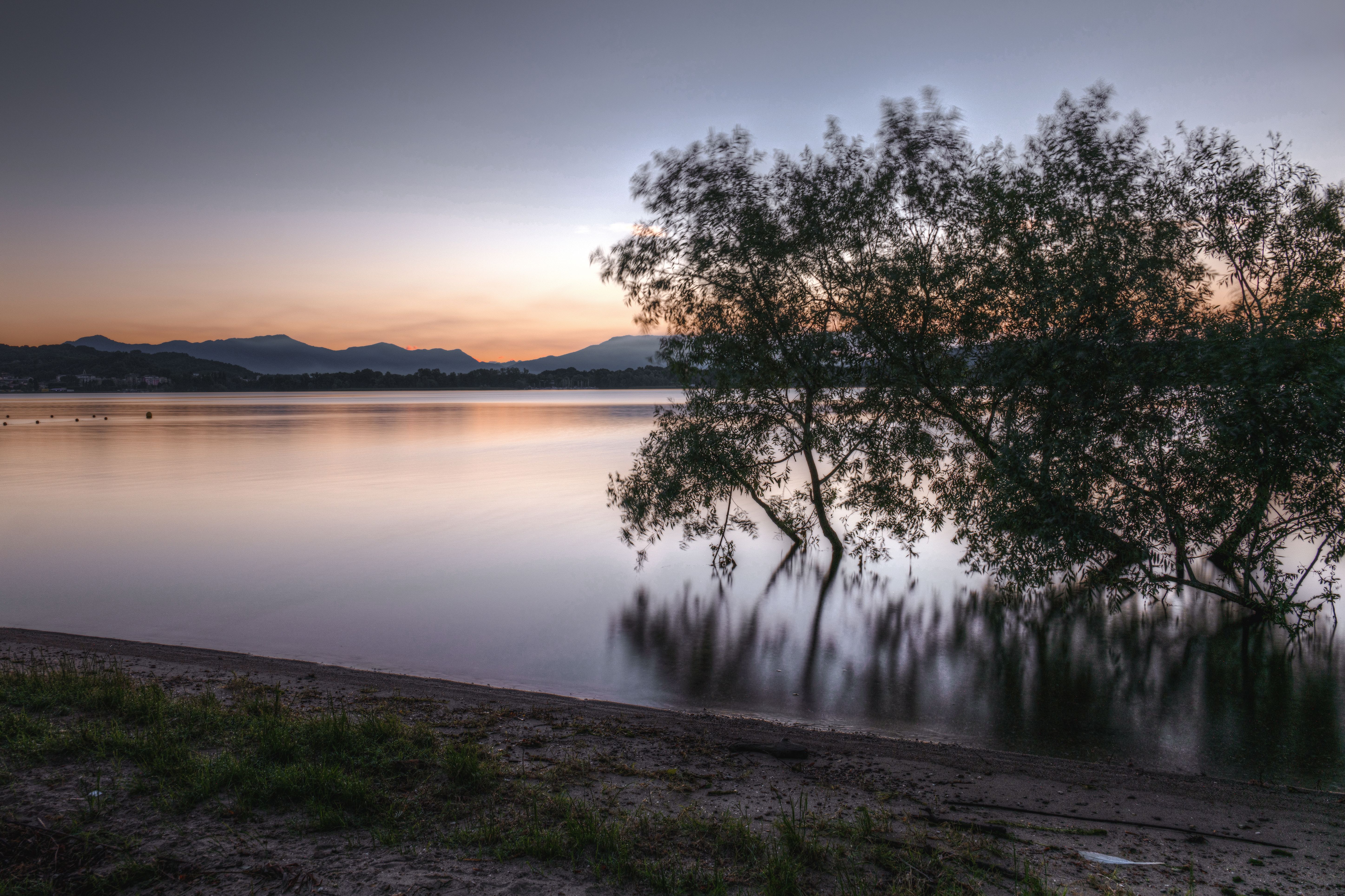Photo of Trees Near Calm Body of Water During Golden Hour · Free