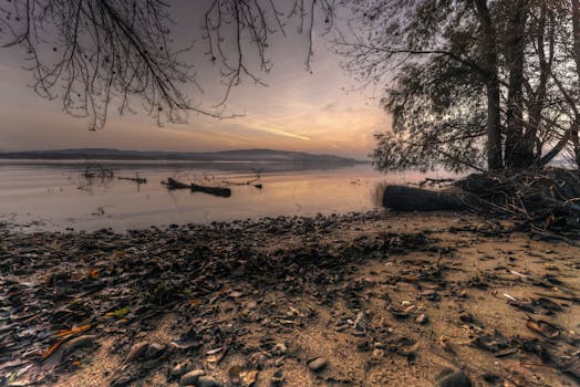 Peaceful morning view at a lakeside with trees and reflections during dawn.