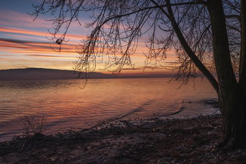 Free Peaceful lakeside sunset with vivid sky reflections and bare tree silhouettes, ideal for calming visuals. Stock Photo