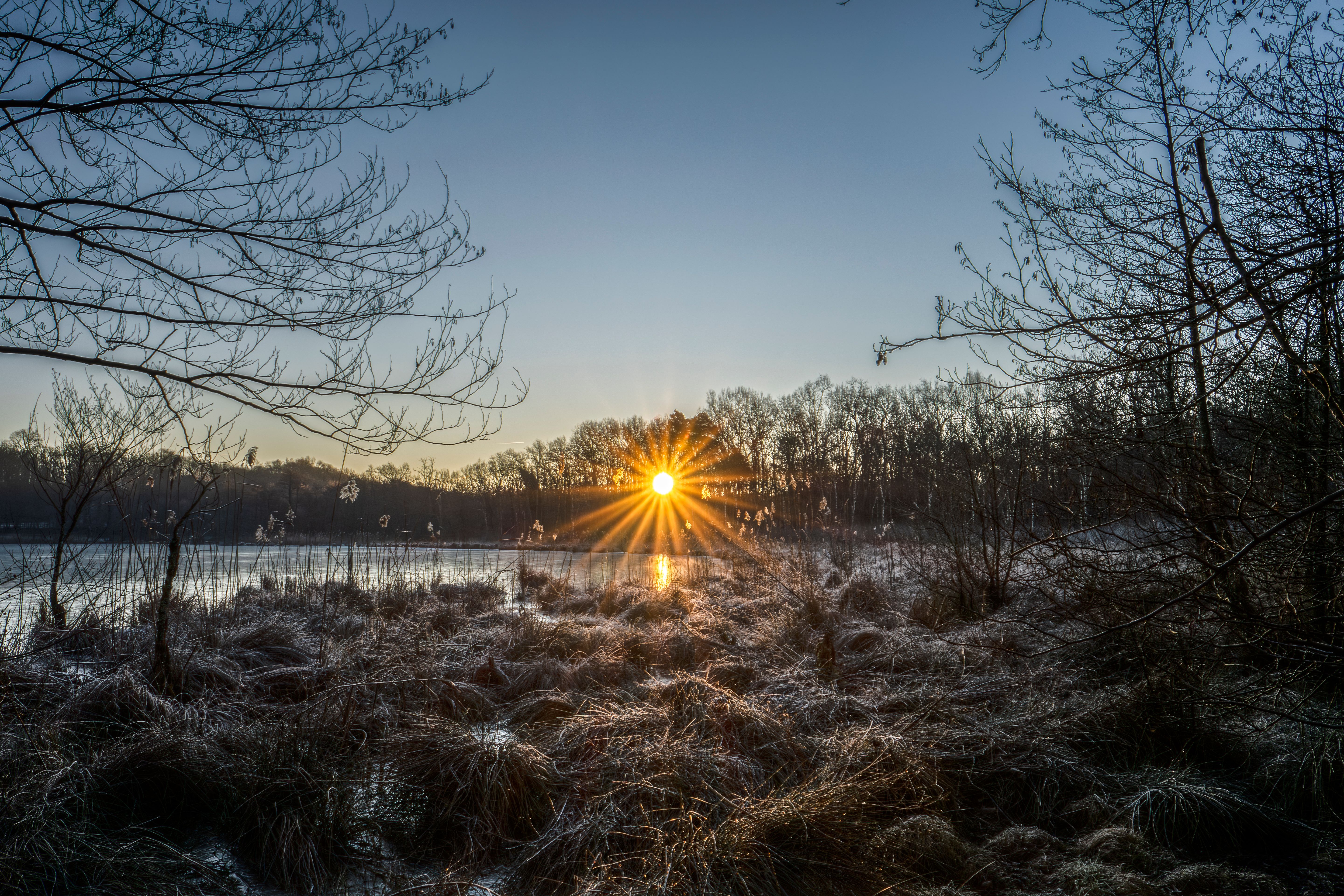 Serene Winter Sunrise Over Frosty Lake · Free Stock Photo