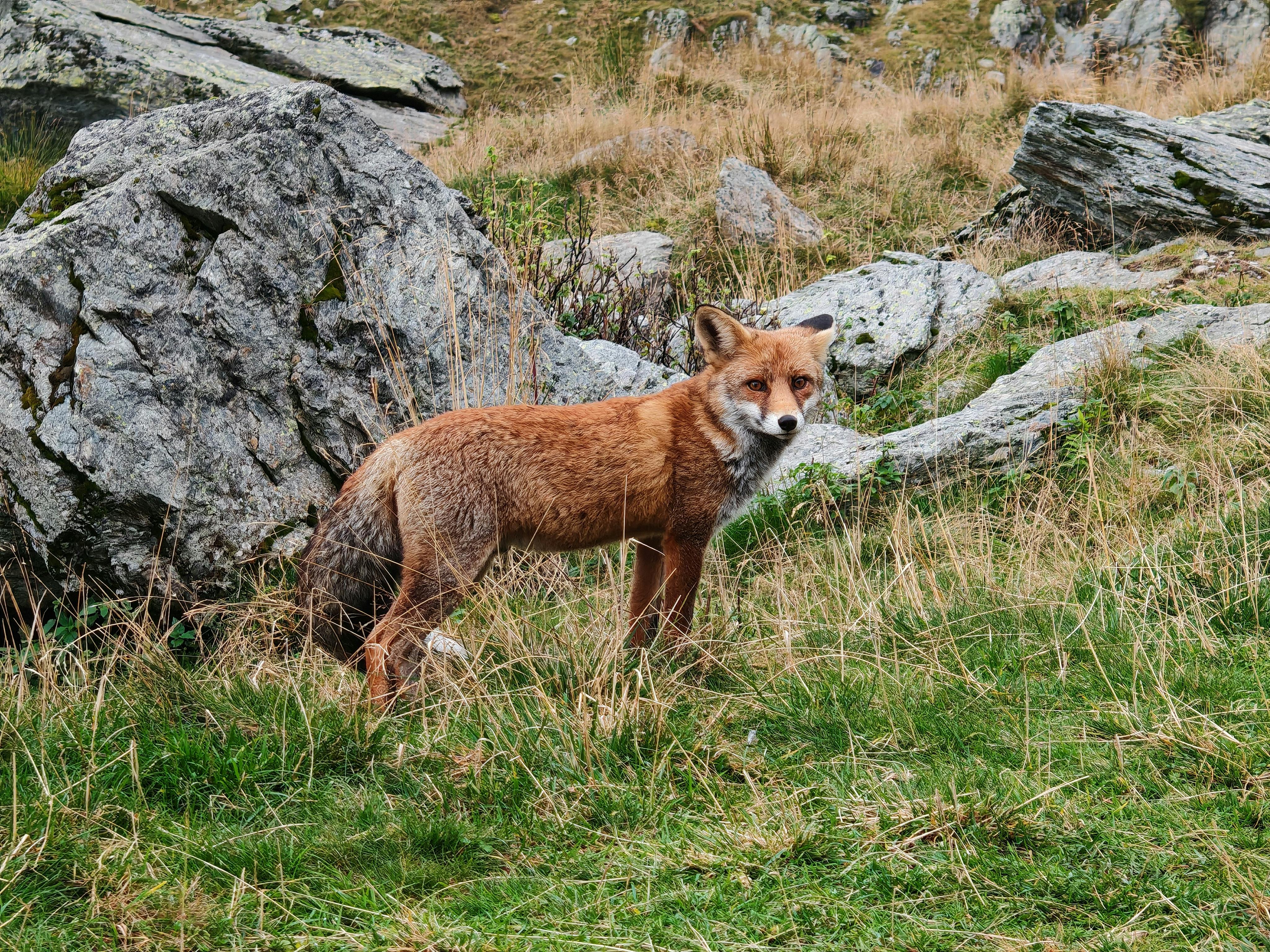 以森林為靈感「工藝之森」設計展於中央書局開幕，邀您體驗慢活與
