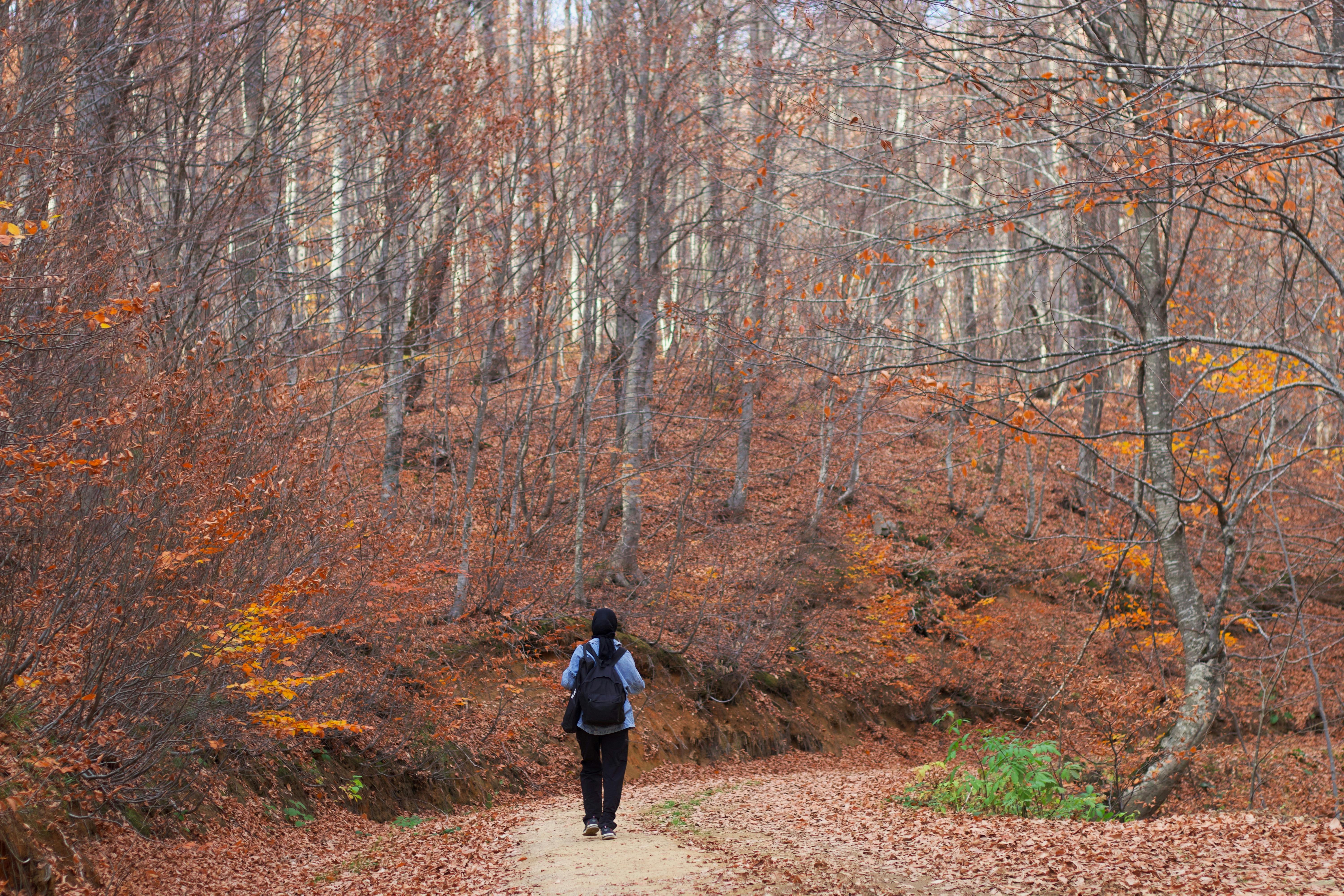 以森林為靈感「工藝之森」設計展於中央書局開幕，邀您體驗慢活與