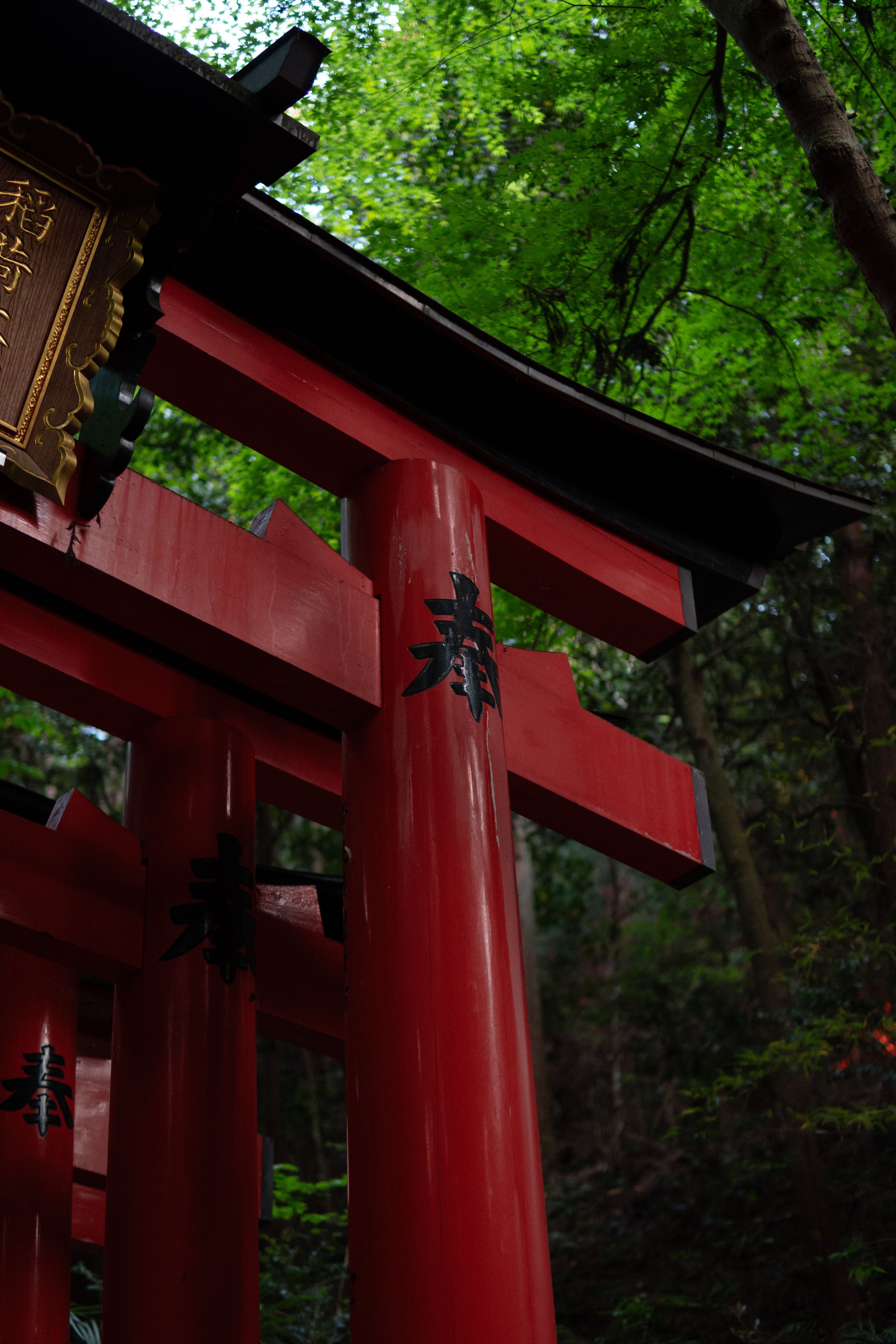 Red Torii Gate in a Lush Forest Setting · Free Stock Photo