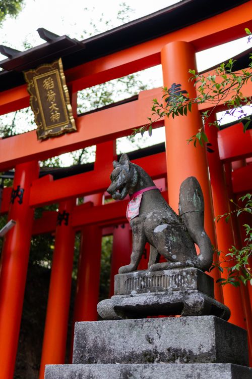 Free Fox statue at Fushimi Inari Shrine in Kyoto with vibrant red torii gates. Stock Photo