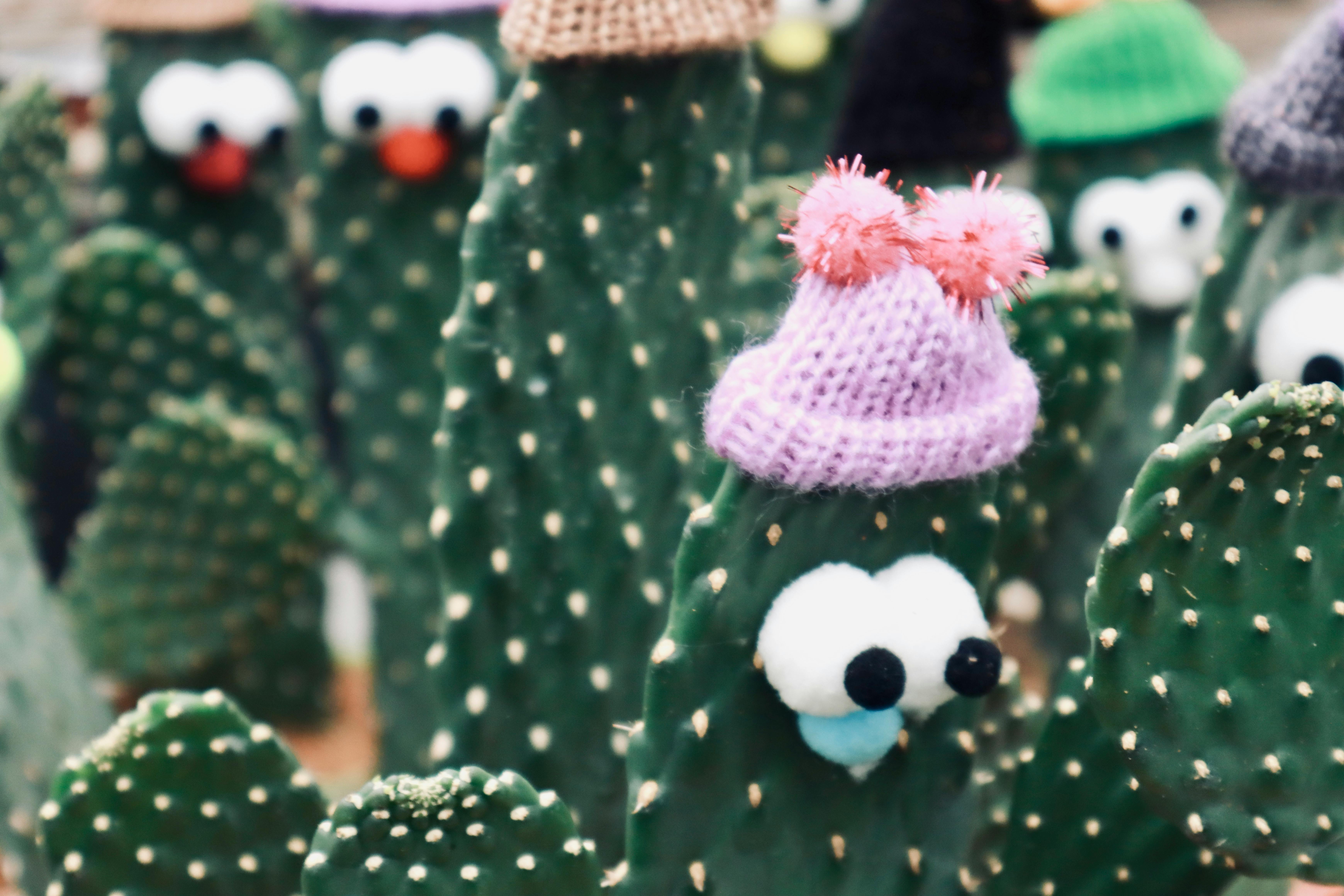 吉姆·加菲根談為何拒絕在單口喜劇中談政治