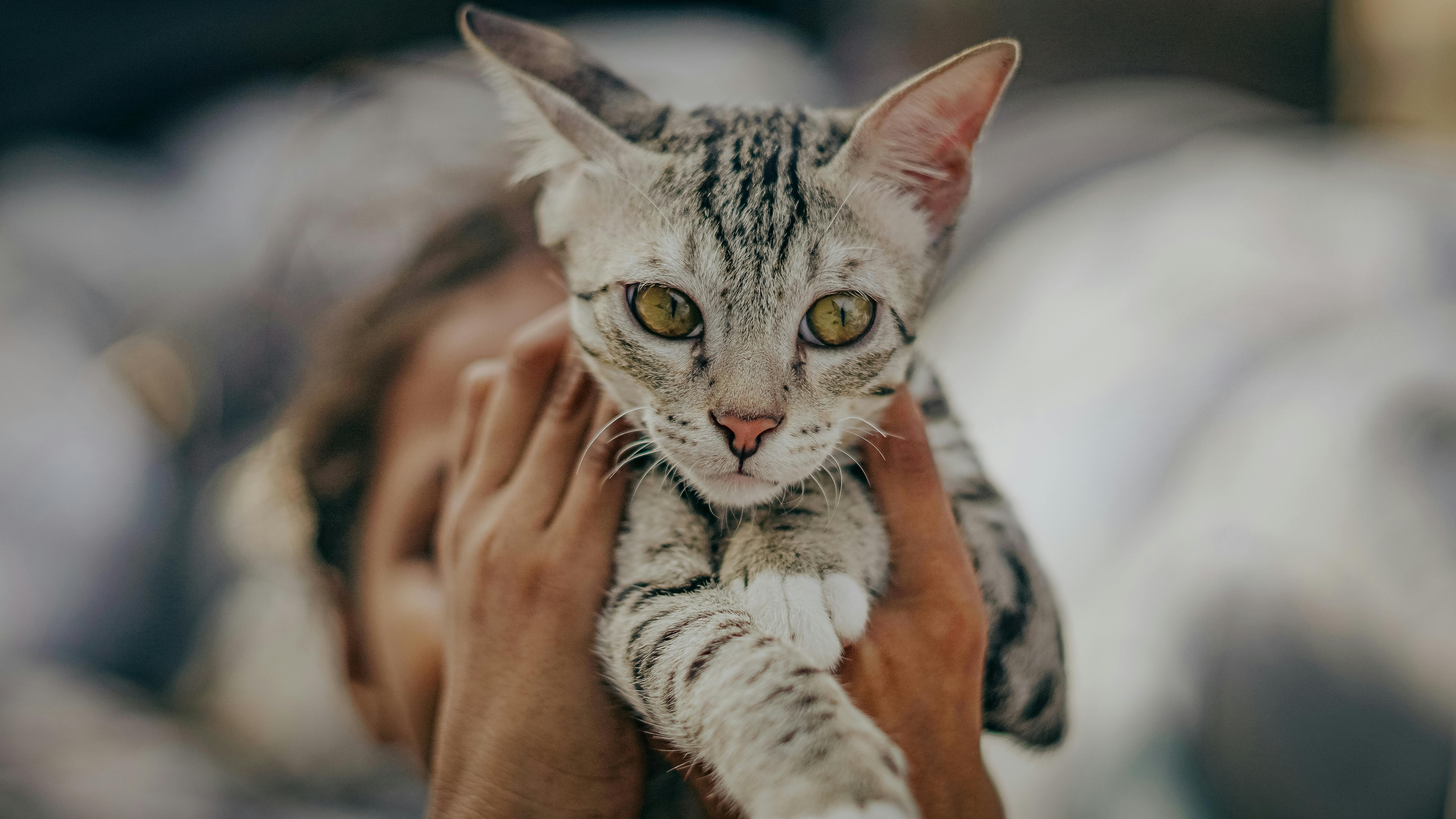 財經：房市明年Q1恐進主跌段 新北三字頭區域無人問津