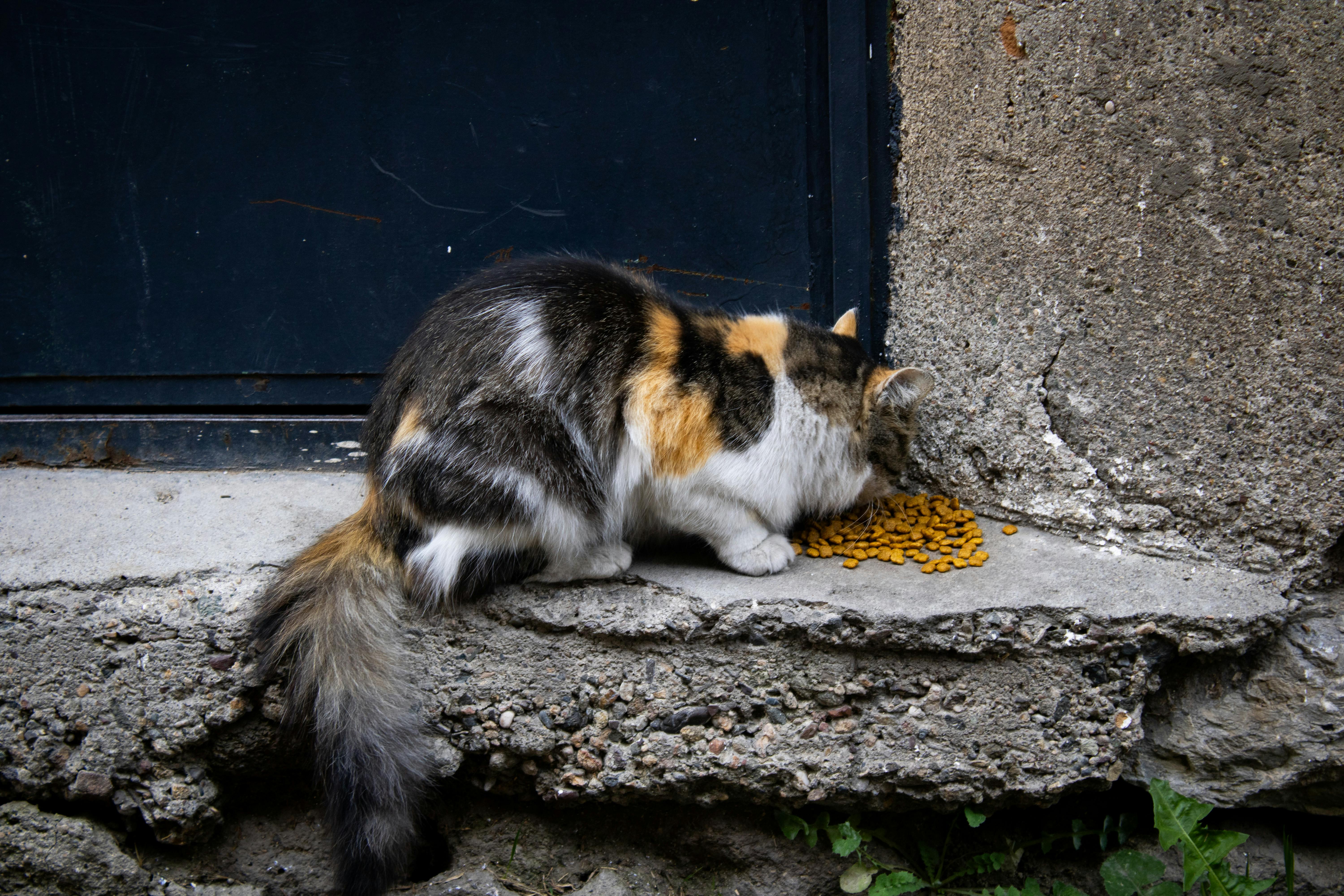 8. Nutrition Must Be Monitored