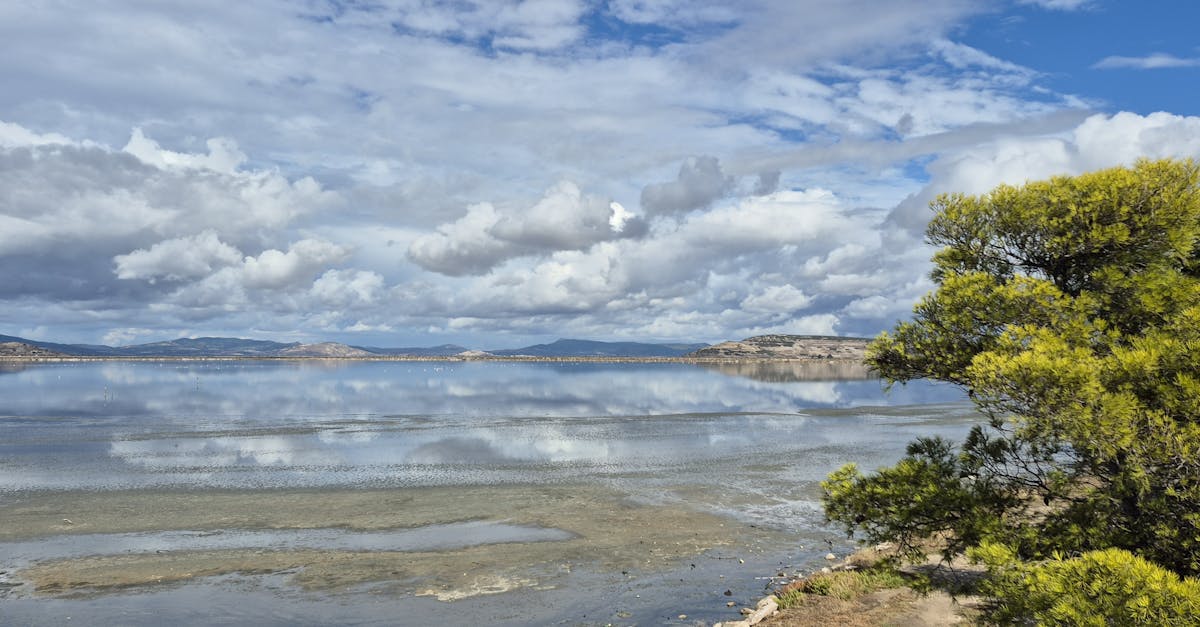 科技人的良心使命:用對的科技挽救地球未來