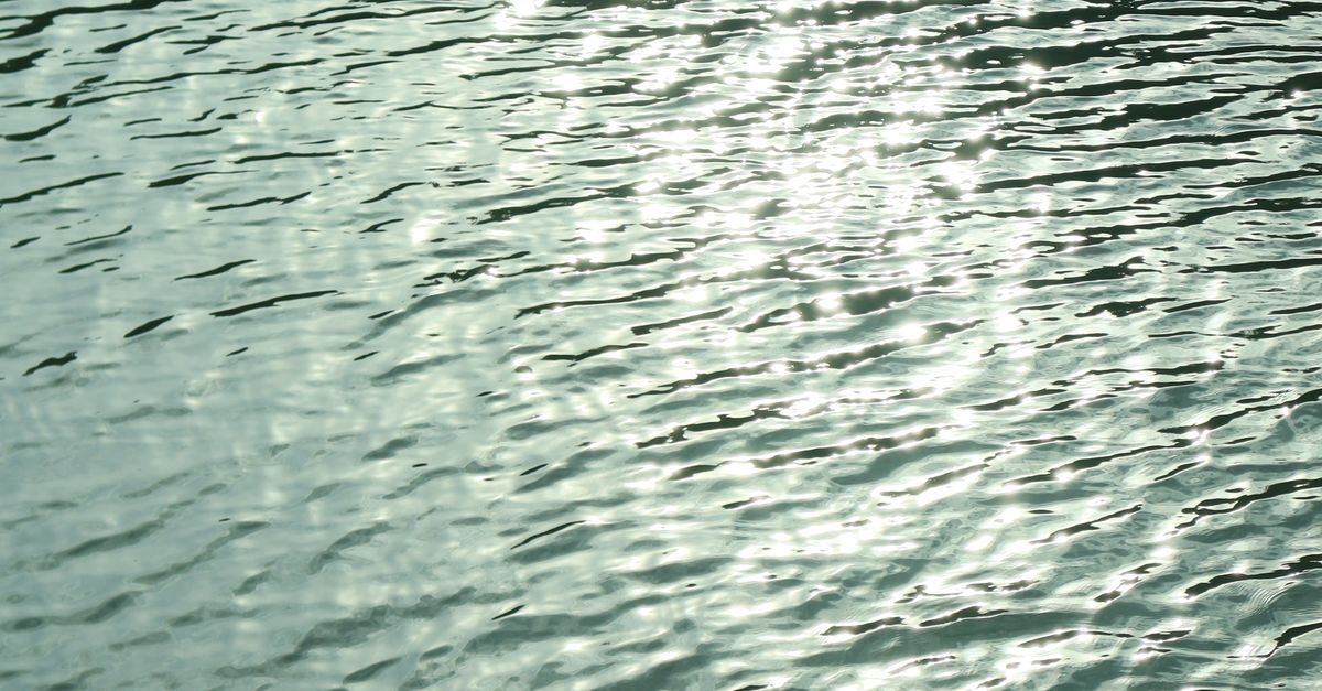 Tranquil Water Ripples with Sunlight Reflection · Free Stock Photo