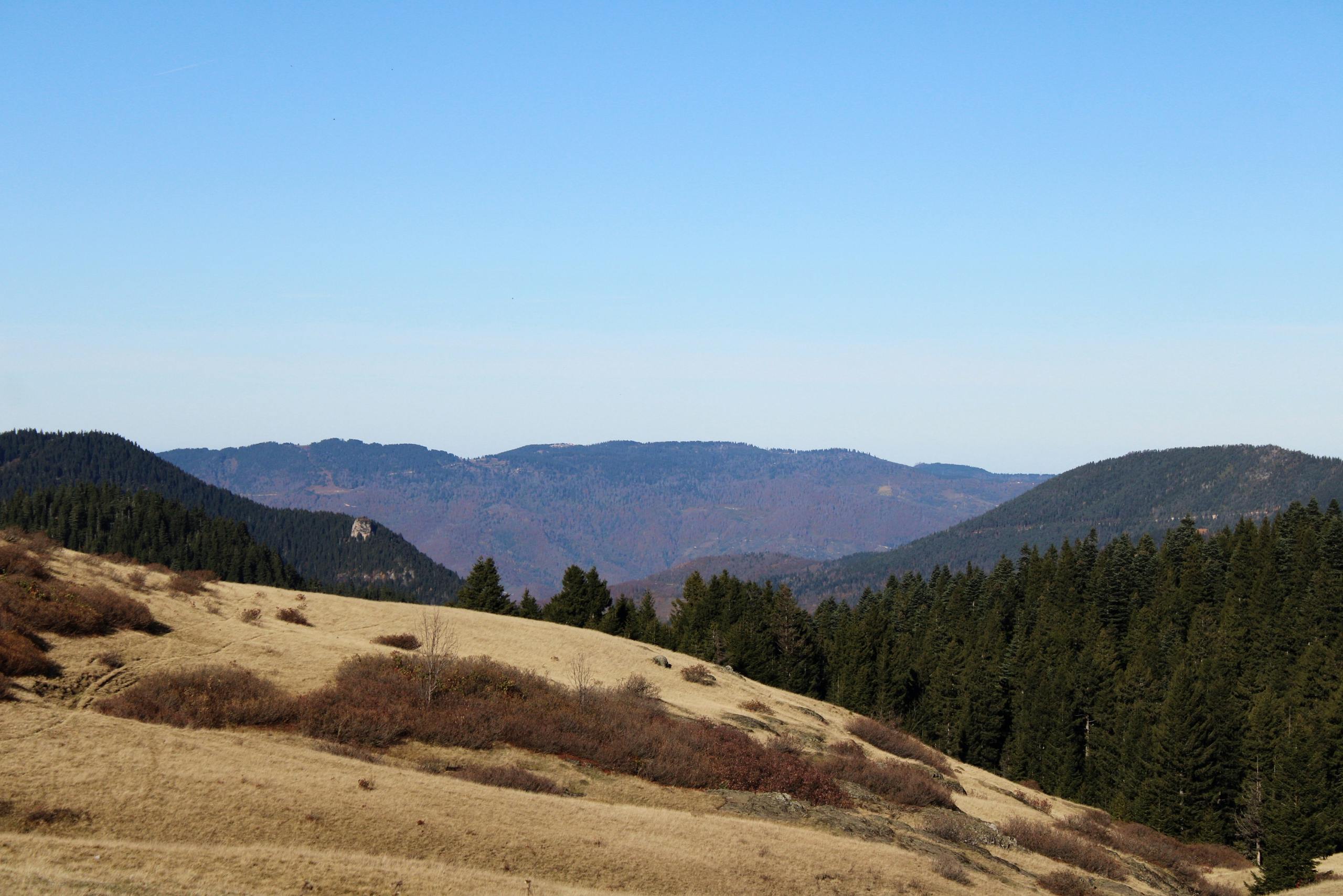 Image : Kilimanjaro's Embrace: Our Ascent to Self-Discovery on Africa's Rooftop