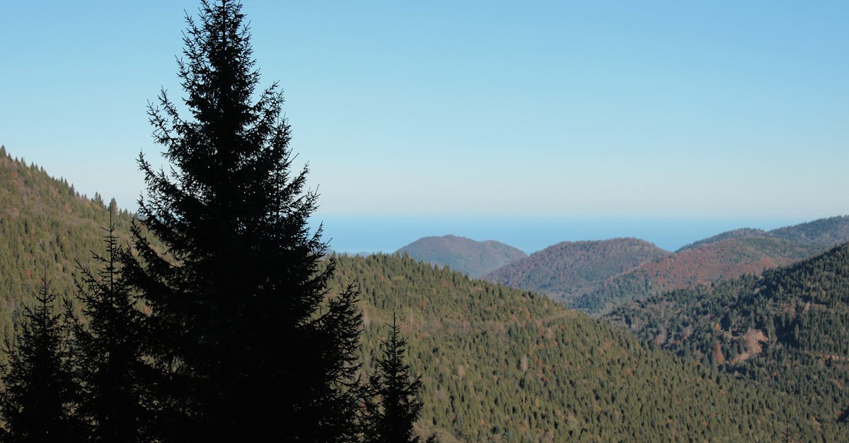 Bazaruto Archipelago