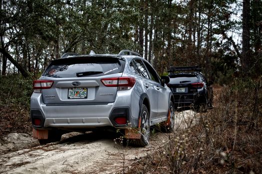 Two vehicles navigating a forest trail, perfect for off-road enthusiasts.