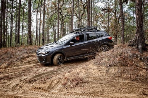 Free A car navigating a rugged off-road path surrounded by tall pine trees. Stock Photo