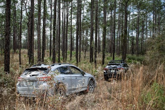 Two SUVs navigating through a lush, dense forest, capturing the essence of off-road exploration.