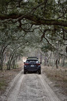 A SUV drives through a scenic forest path, perfect for adventure enthusiasts.