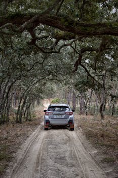 SUV driving through dense forest on a sandy trail, creating a sense of adventure amidst natural surroundings.