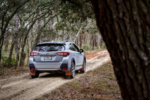 A silver SUV navigates a rugged forest trail surrounded by lush trees, perfect for outdoor adventures.