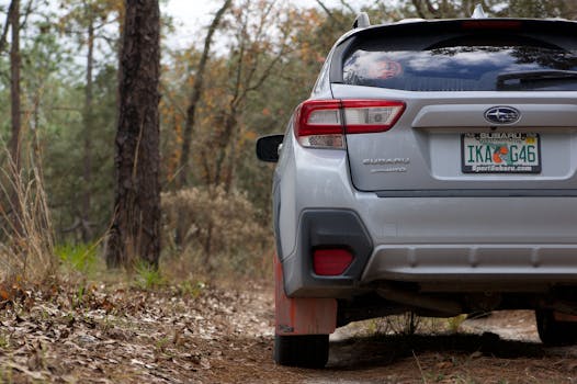 Silver Subaru SUV parked on a forest trail surrounded by autumn foliage.
