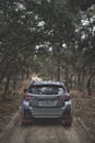 Off-Road Adventure with Silver SUV in Forest Trail