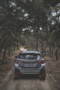 Silver SUV driving through a wooded forest trail, creating a sense of exploration and adventure.