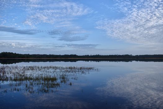 Serene lake reflecting the sky creates a tranquil sunrise scene.