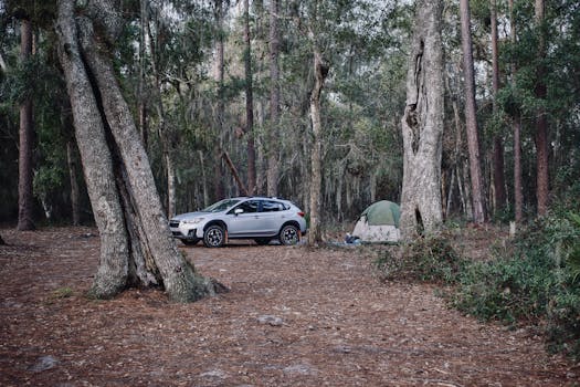 Peaceful campsite in a forest with a green tent and parked SUV surrounded by trees.