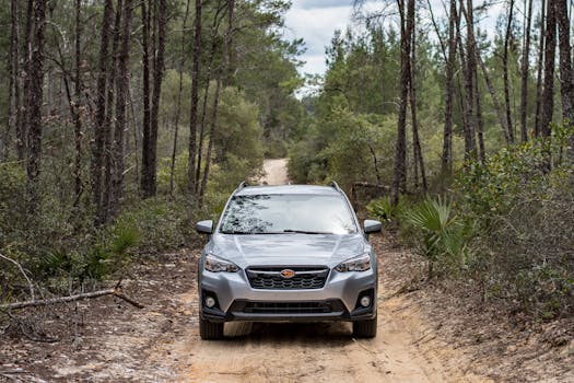 SUV driving down a dirt road in a dense forest, showcasing off-road adventure.