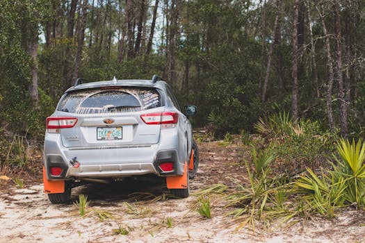 Explore off-road with SUV on a forest trail, highlighting adventure and nature.