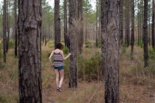 A woman walks through a pine forest, enjoying nature's tranquility on a summer day.
