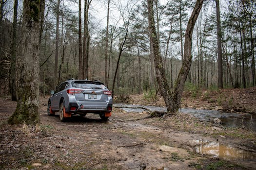 Compact SUV parked off-road in a serene forest by a flowing stream, perfect for nature travel.