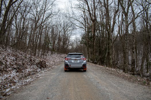 A car travels down a gravel road through a snow-dusted forest in winter, showcasing serene nature.