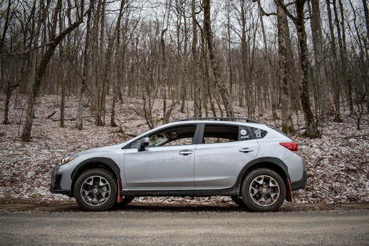 Gray compact SUV parked on a snowy forest road, capturing a serene winter scene.