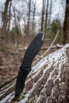 A foldable knife stuck in a mossy log in a serene forest setting, under a cloudy sky.