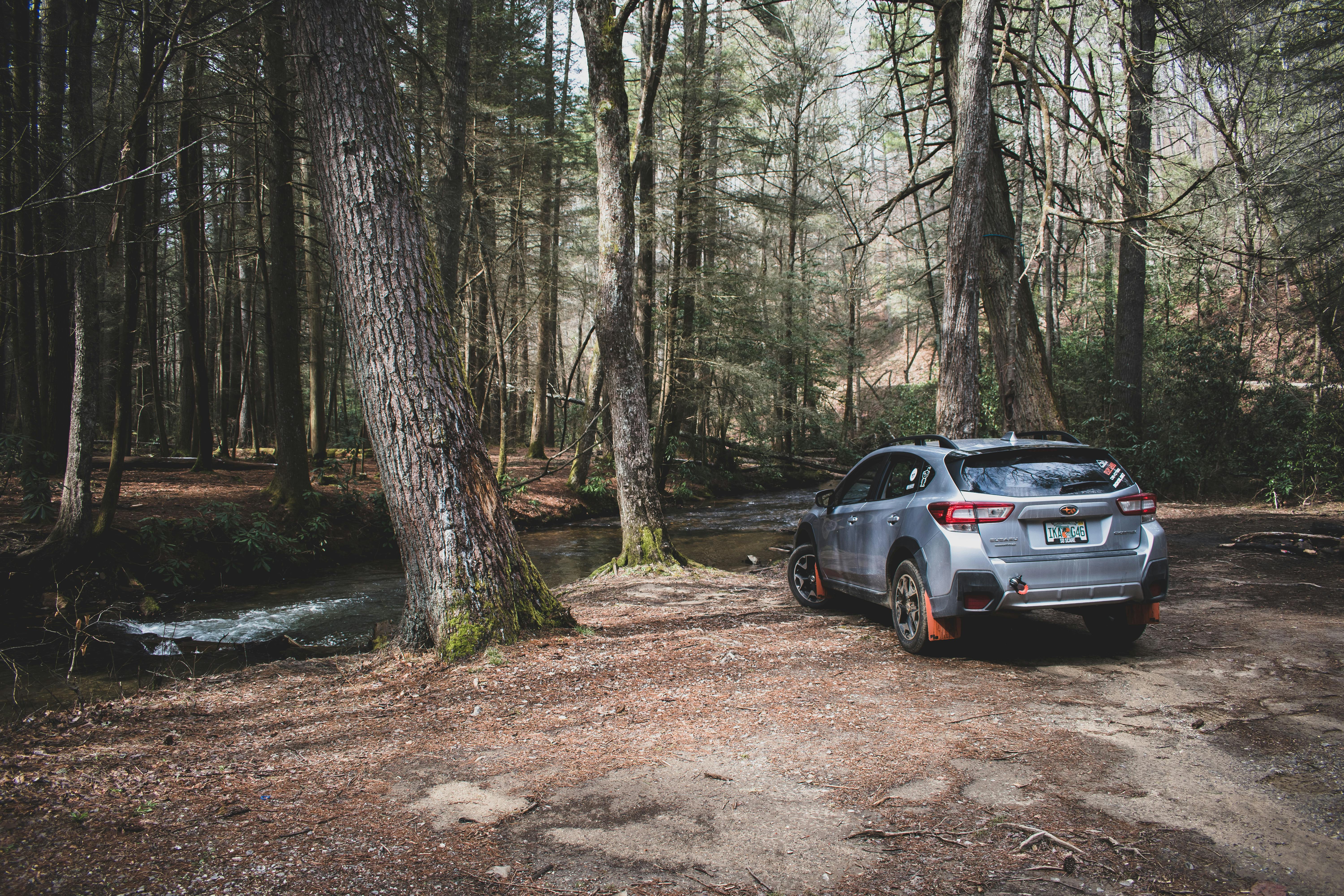 Virtual Reality Classrooms: Revolutionizing Education with Cutting-Edge Technology