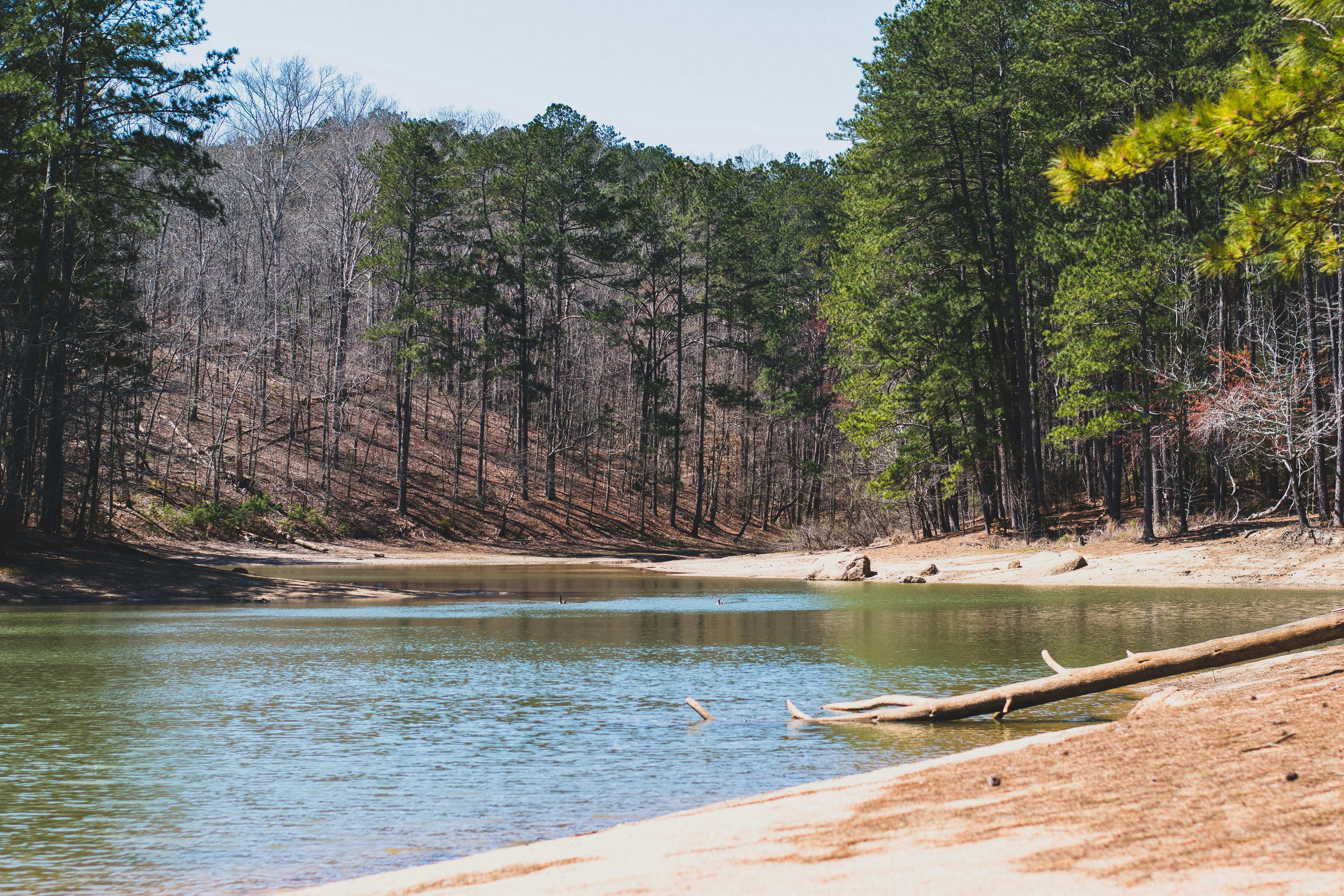 財經：推論AI崛起，輝達揭密最強助攻手助力新世代運算革命