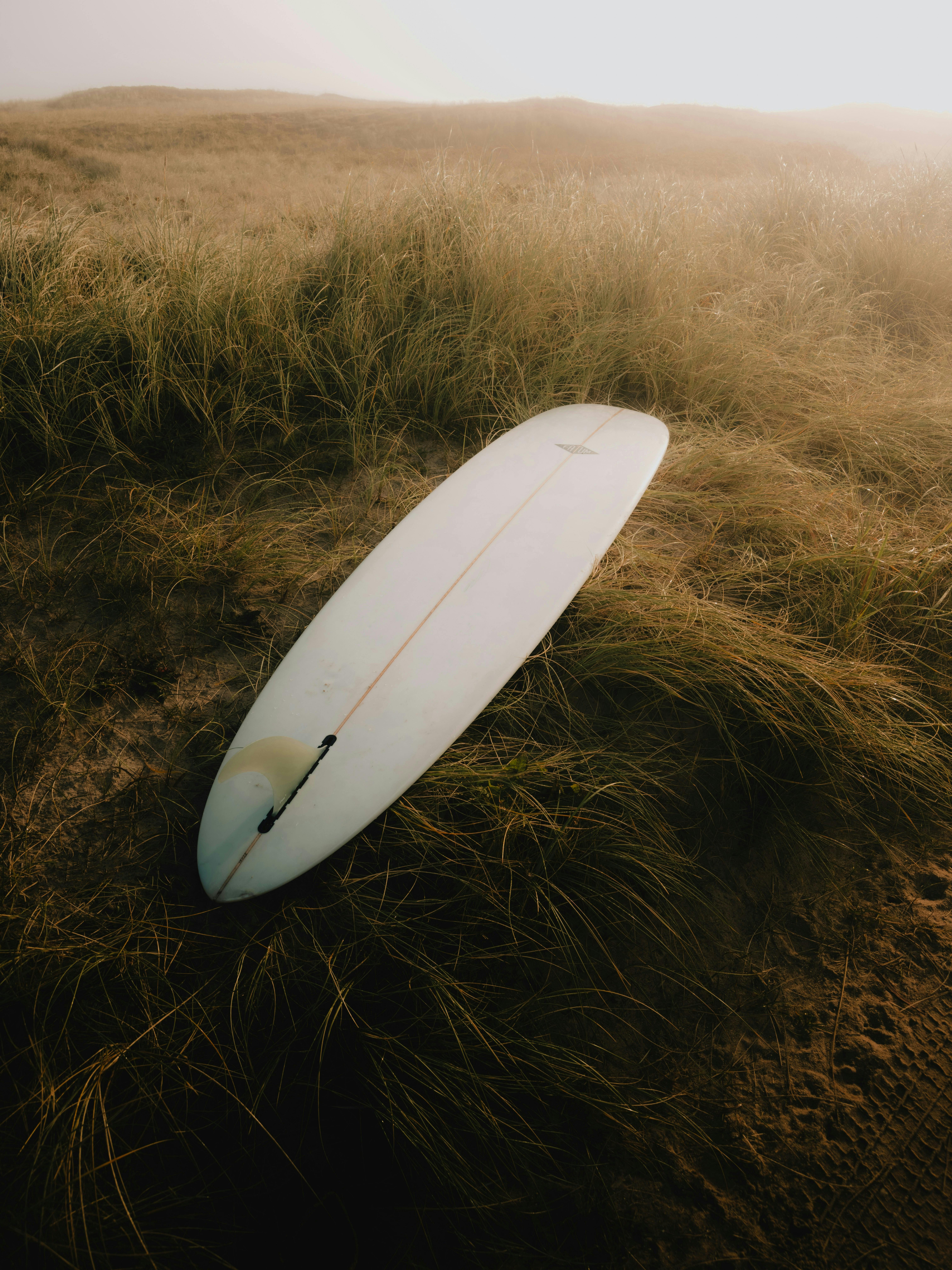 A serene scene of a surfboard resting in the sandy dunes of Denmark, perfect for surf enthusiasts.