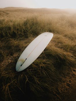 A serene scene of a surfboard resting in the sandy dunes of Denmark, perfect for surf enthusiasts.