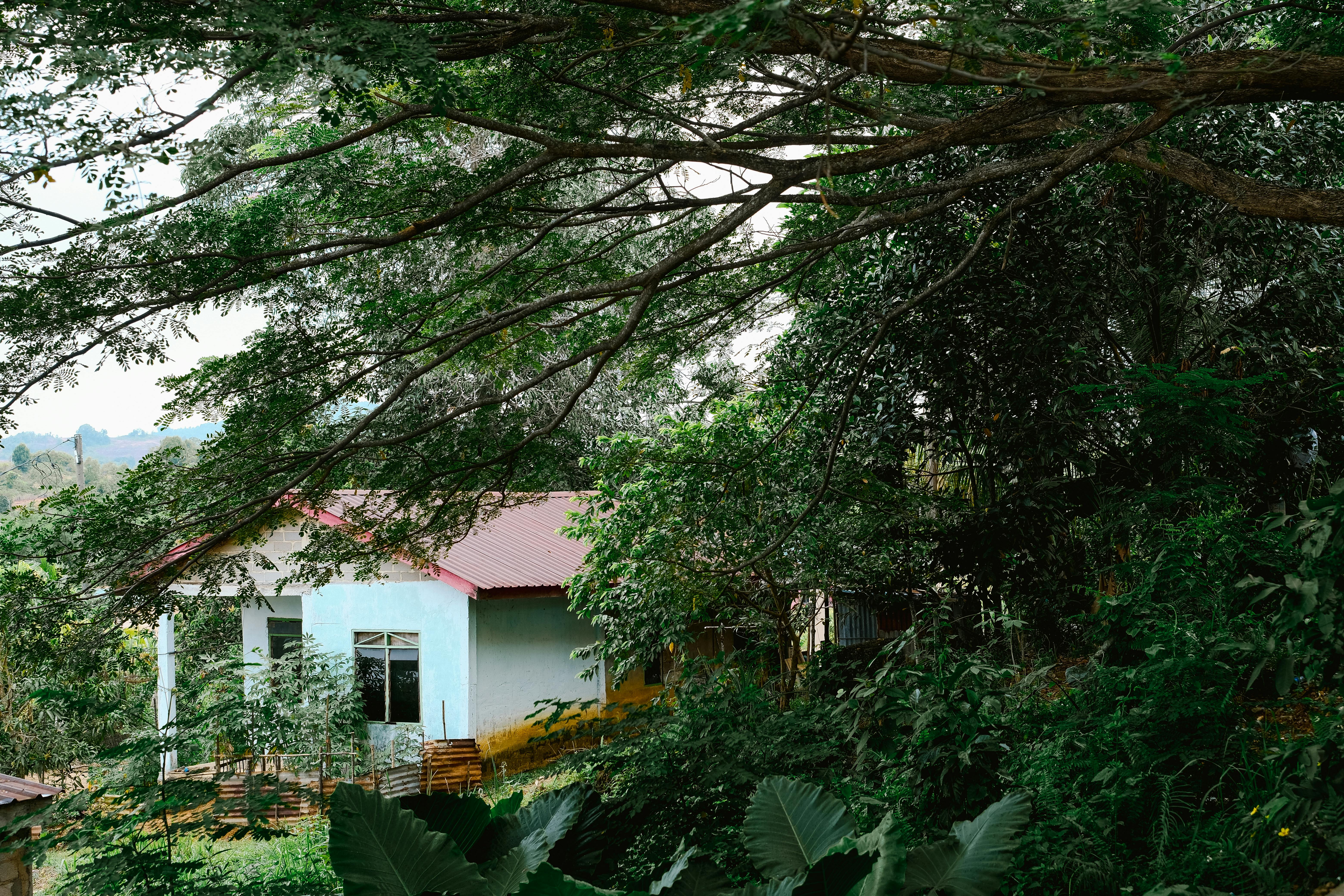 Secret Local Havens to Explore and Peaceful Countryside Retreats