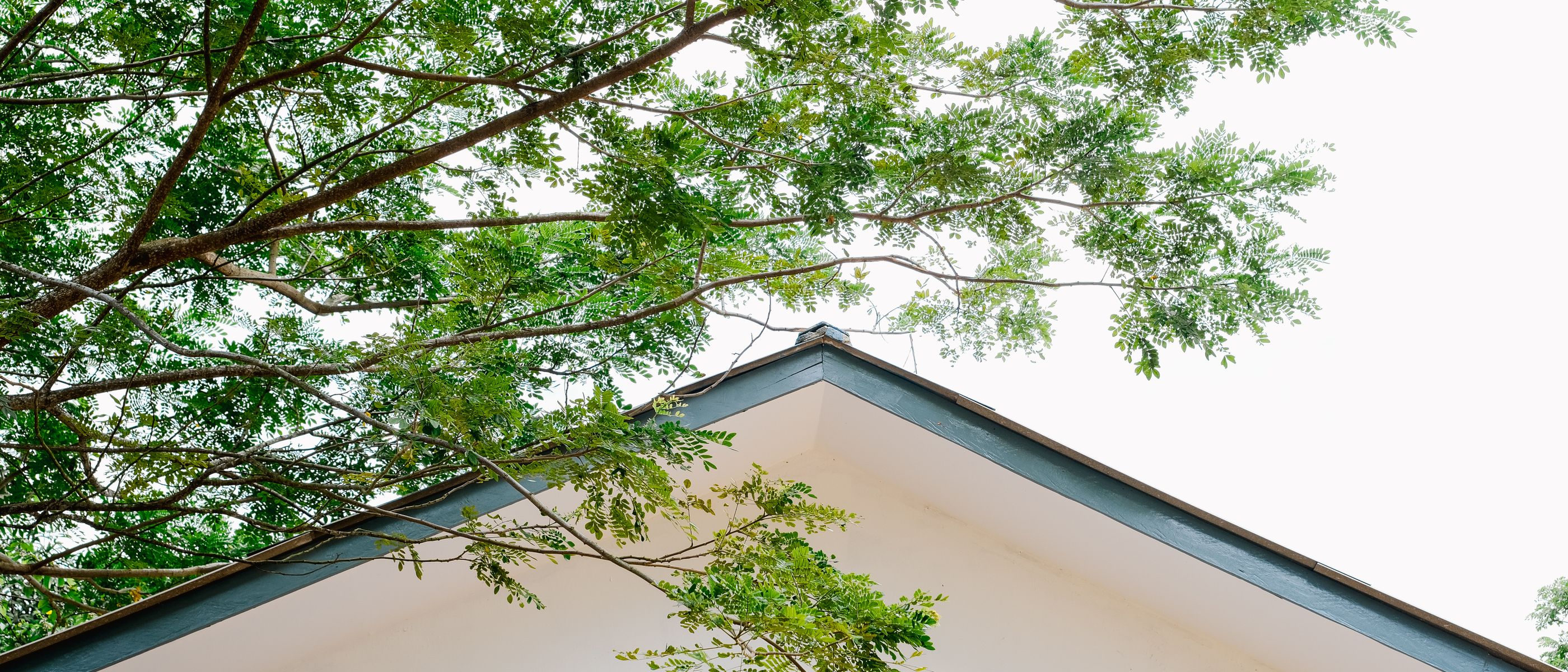 House Painting in Childs Hill — careful masking before painting begins