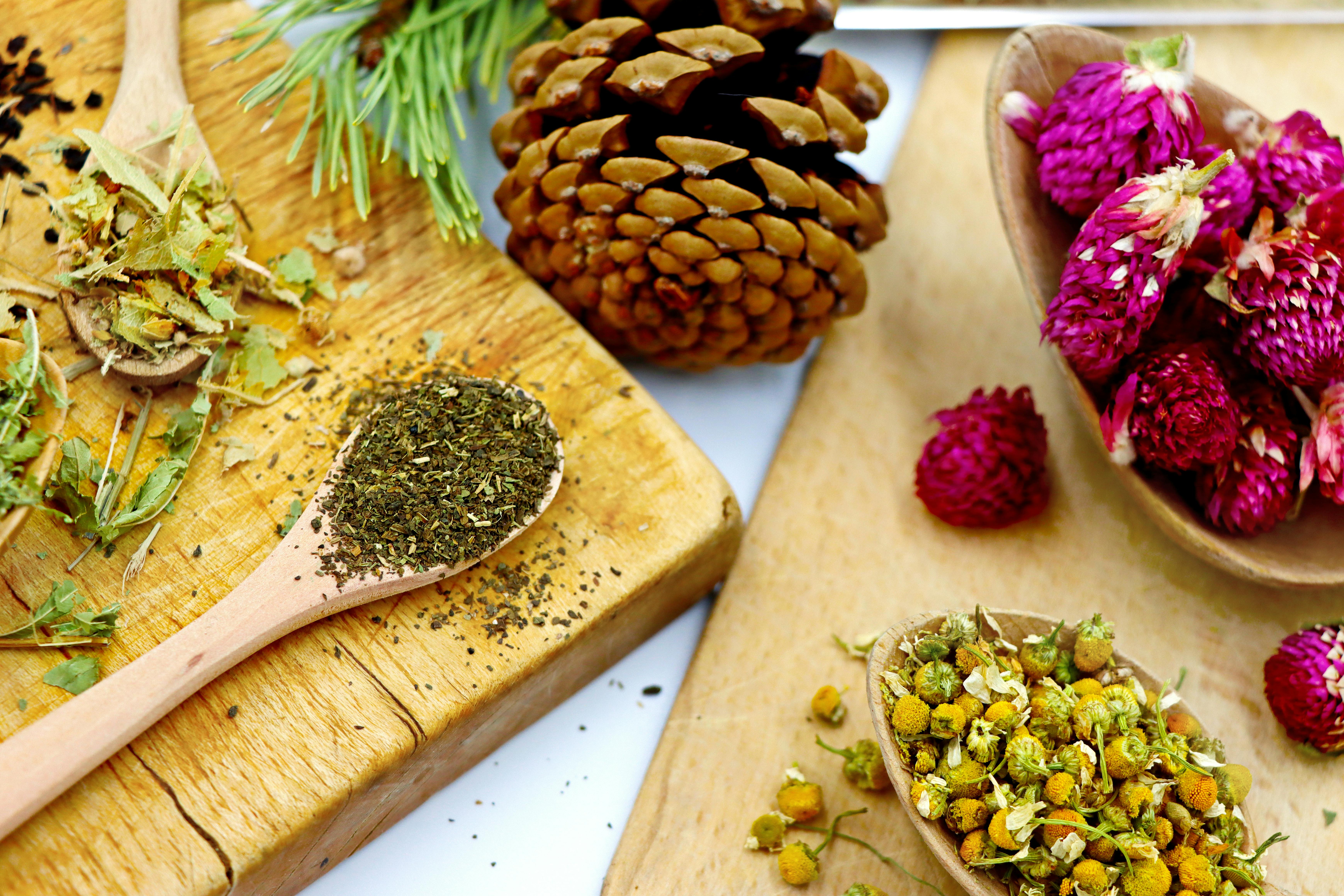 Uncover the Power of Mind and Body Connection through Holistic Healing Practices