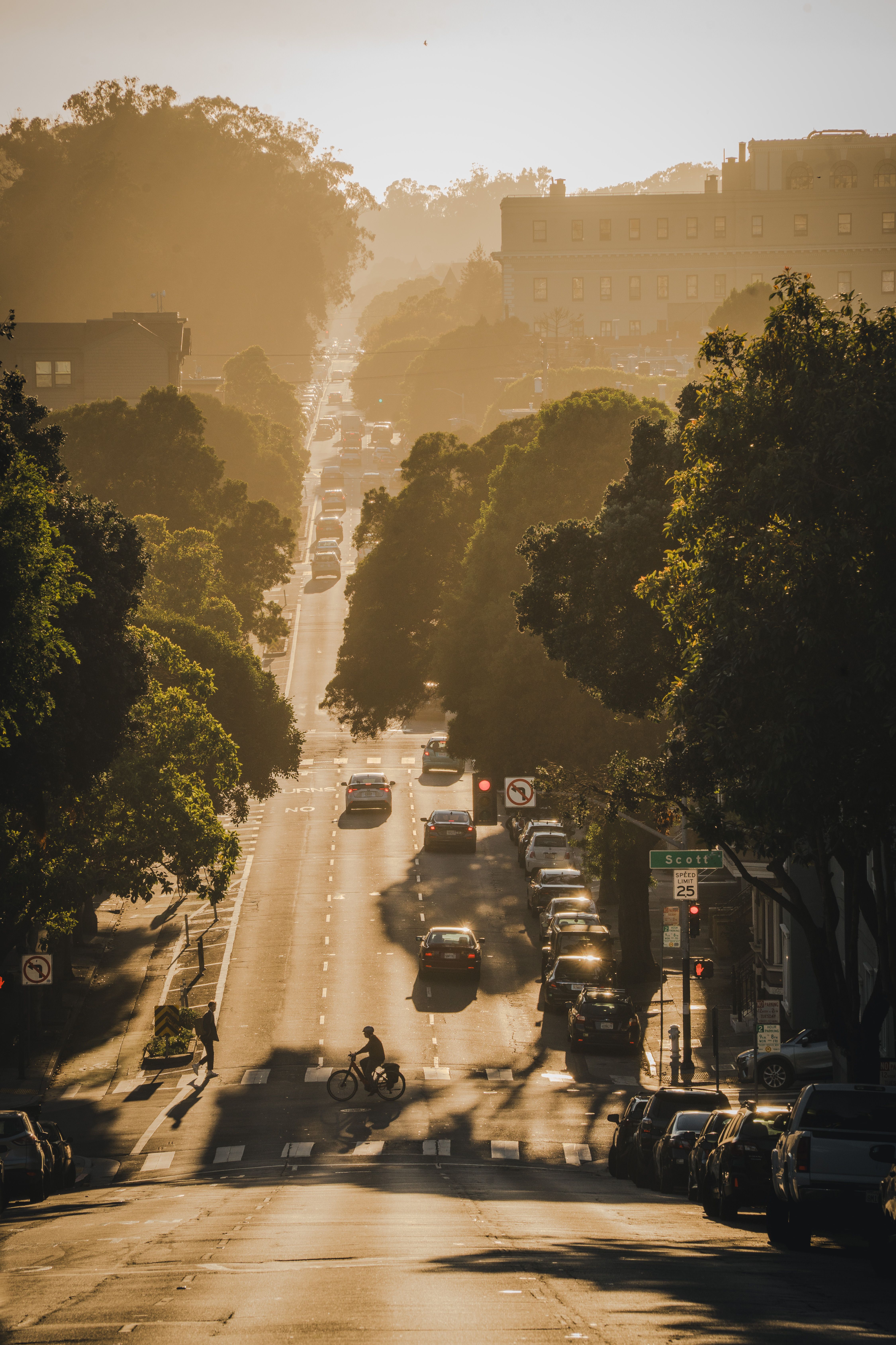 Sunlit Urban Street with Trees and Traffic · Free Stock Photo