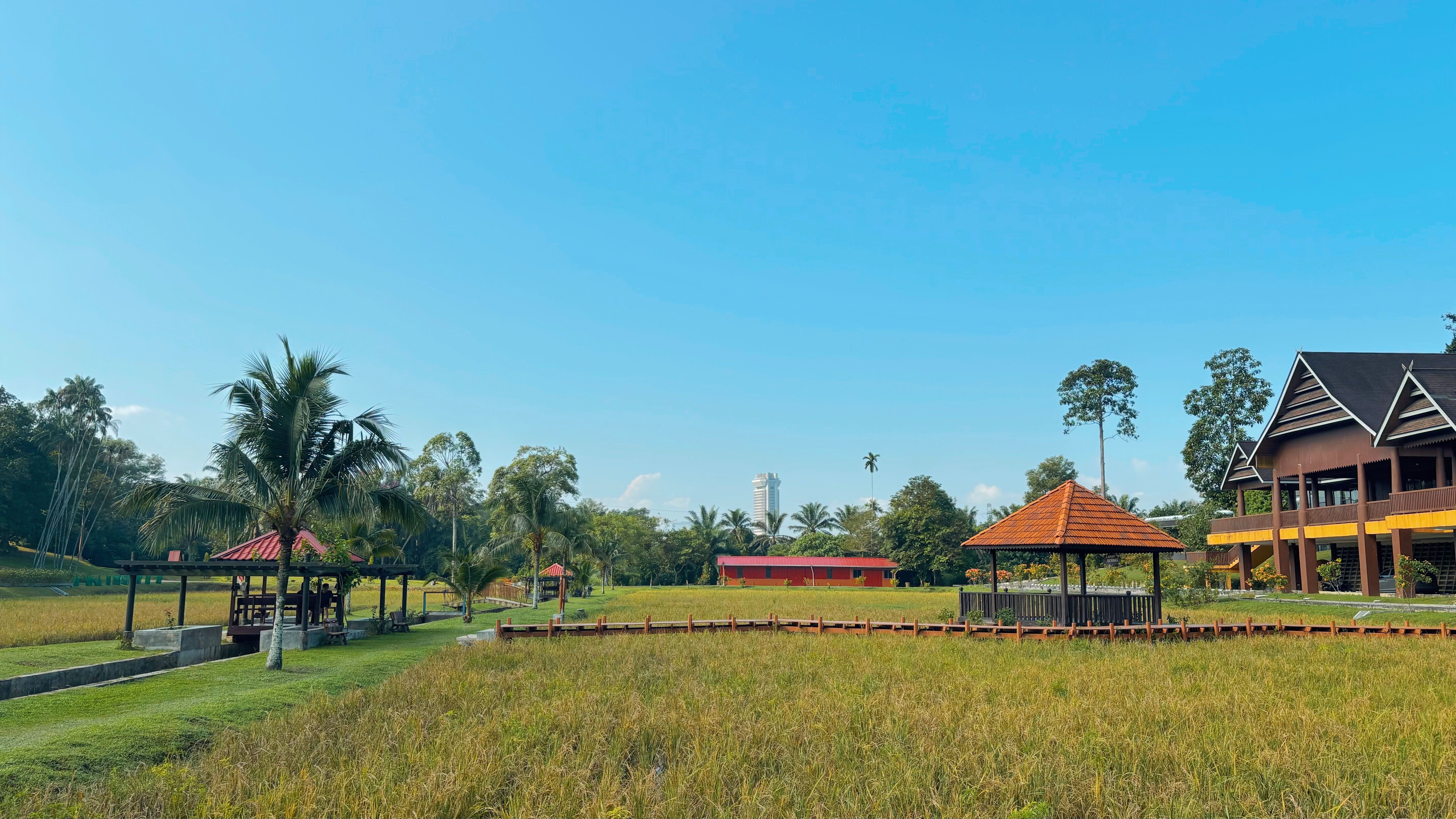 Guide to Bukit Jelutong Eco Community Park, Shah Alam