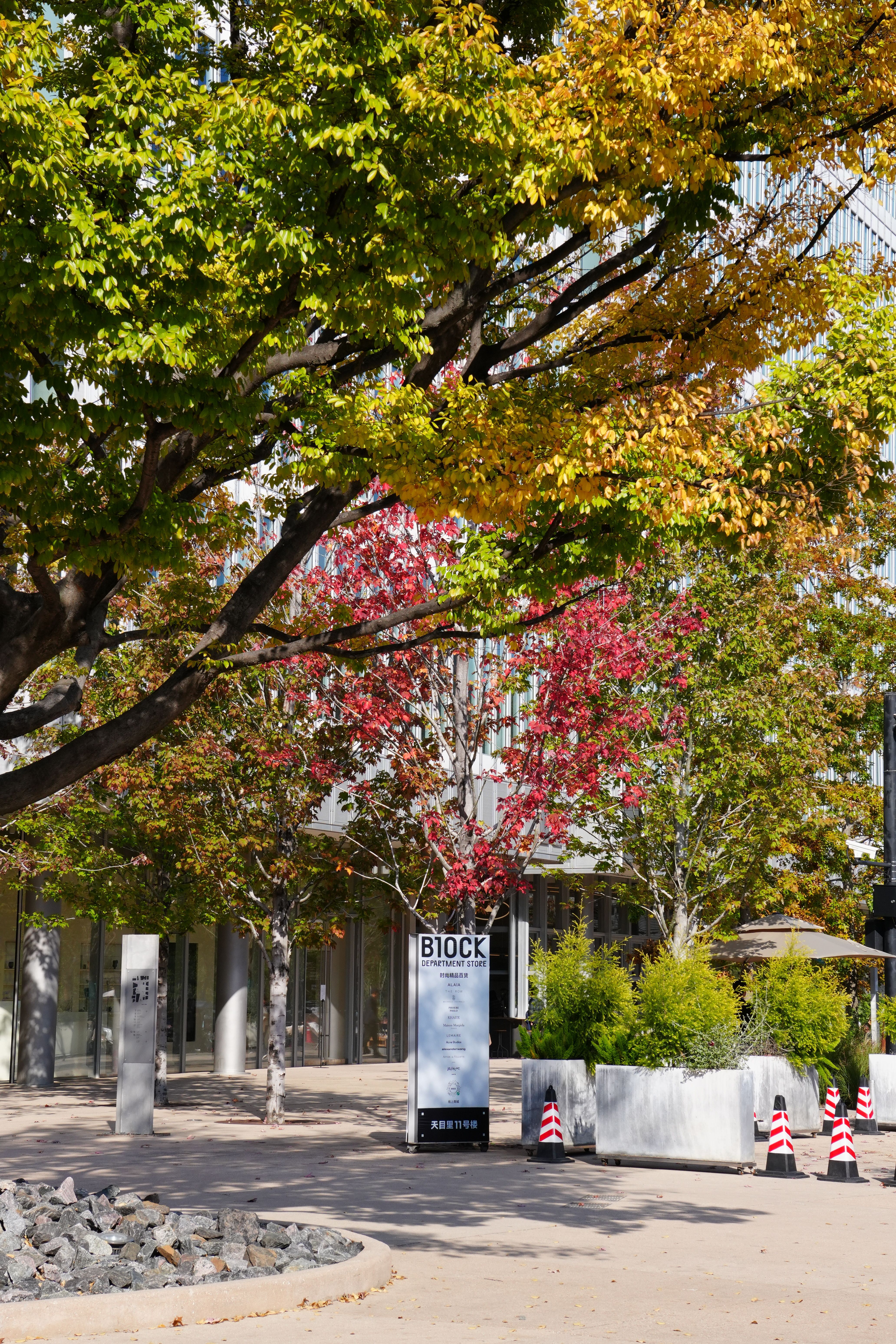 Vibrant Fall Colors in Urban Landscape · Free Stock Photo