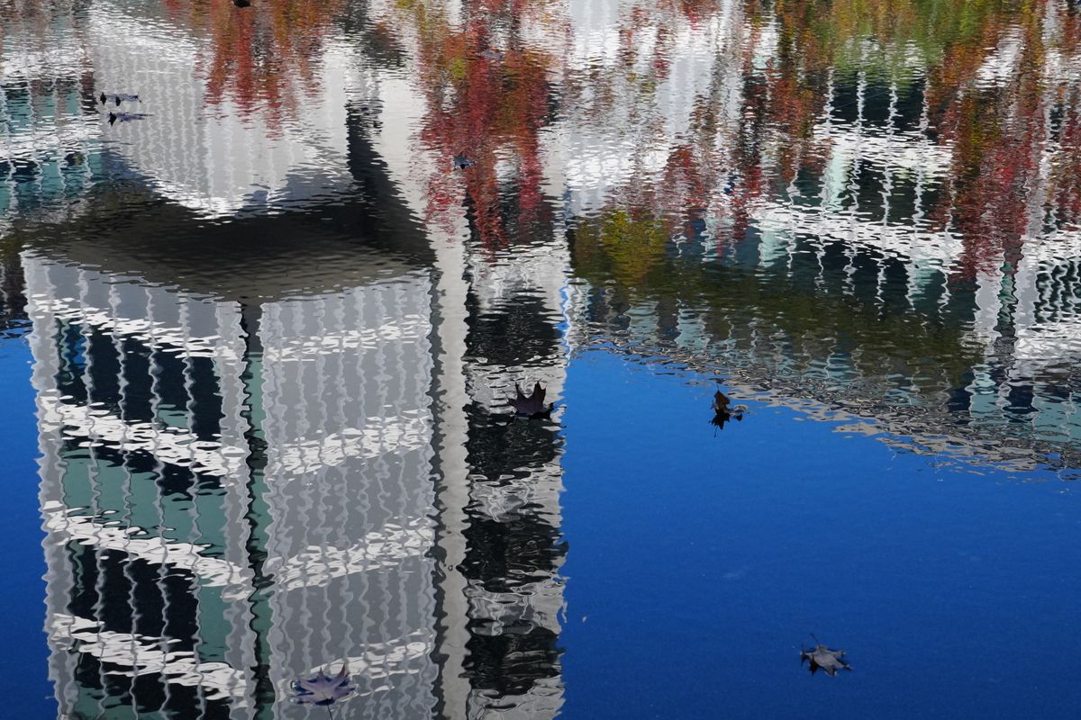 Reflejo del agua en el parque nacional
