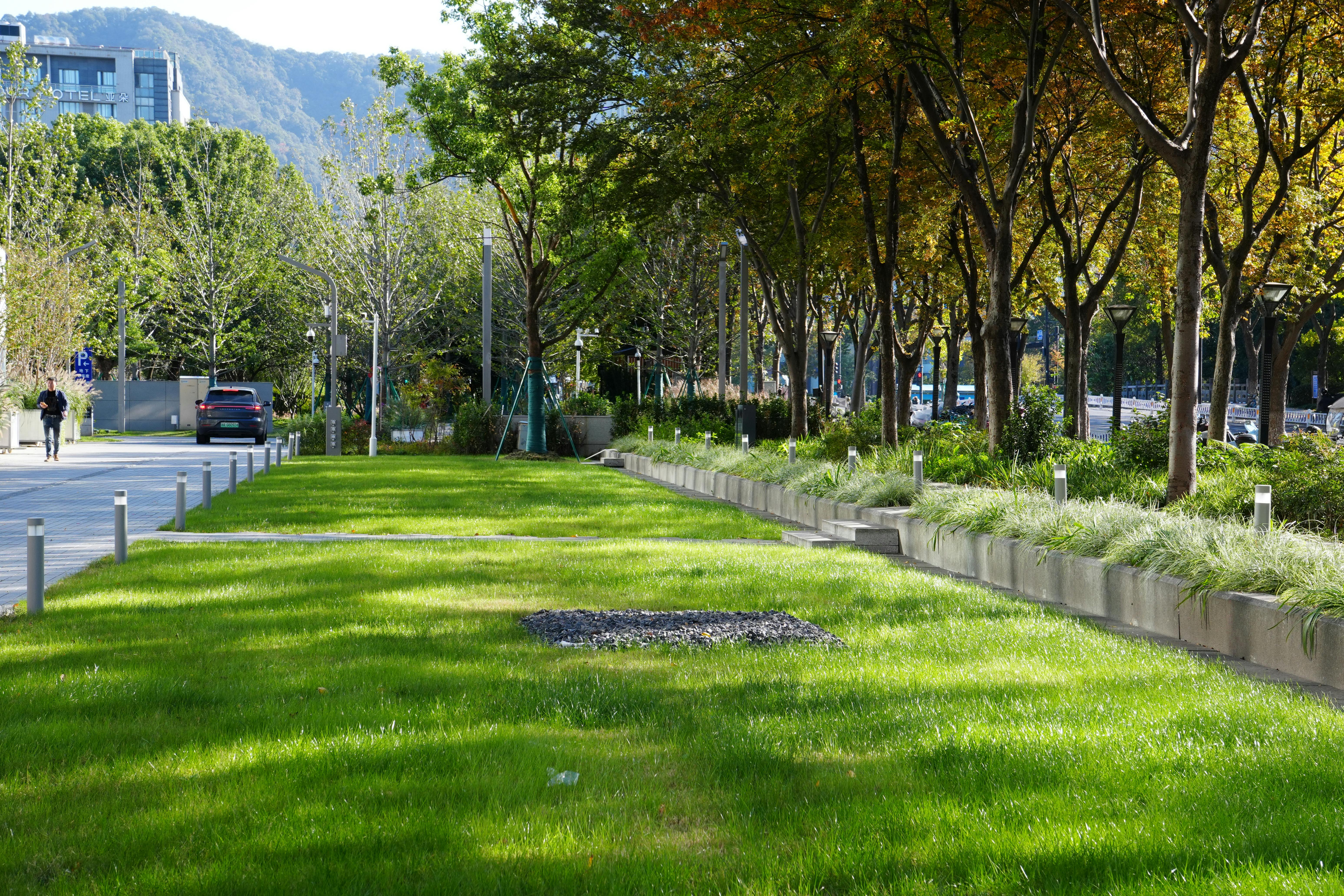 Scène paisible de parc urbain avec feuillage d'automne, pelouse verte et architecture moderne sous un ciel ensoleillé.