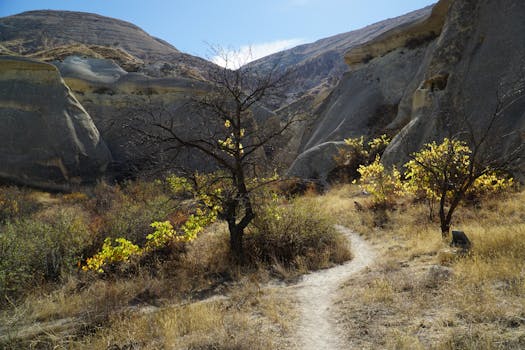 Explore Cappadocia's captivating rock formations and scenic hiking trails.