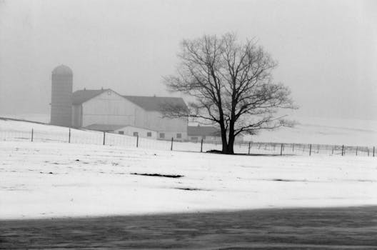 Monochrome winter scene depicting a barn, bare tree, and snow-covered rural landscape.